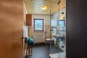 a bathroom with a shower and a toilet and a sink at Kirschenhof in Bad Bellingen +33 photos