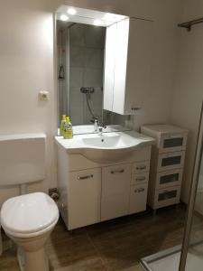 a bathroom with a toilet and a sink and a mirror at Schloss Grubhof Appartement in Sankt Martin bei Lofer +10 photos