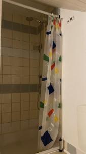 a shower with a shower curtain in a bathroom at Appartment nahe Galopprennbahn in Iffezheim