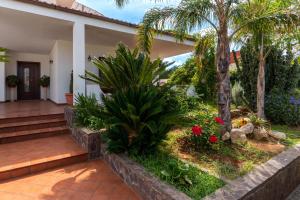 a garden in front of a house at The Rosa's Luxury House in Alezio