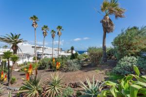 a garden with palm trees and plants in front of a building at Casa Lotti With Ocean View in Santa Cruz de Tenerife