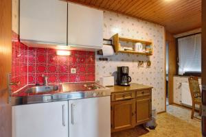 a small kitchen with a sink and red tiles at Am Wehrastrand App Pr in Todtmoos +10 photos
