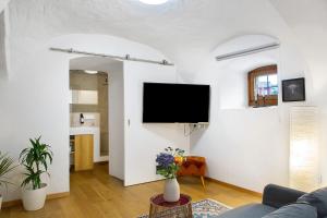 a living room with a couch and a tv on a wall at Schönauer Hof - Wohnung Paula in Passau