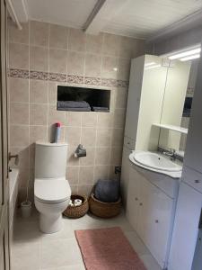 a bathroom with a toilet and a sink at Maison Gaia in Valdeblore +37 photos