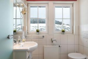 a bathroom with a sink and a toilet and windows at Gästehaus Krone in Sankt Georgen im Schwarzwald +243 photos