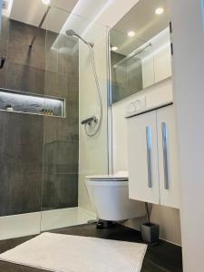 a bathroom with a toilet and a glass shower at Cozy Room in Mlini +25 photos
