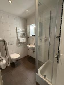 a bathroom with a shower and a toilet and a sink at Hotel Alt Montjoie in Monschau +55 photos