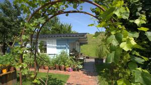 a garden with a house in the background at Die blaue Hütte - Tiny House am Elberadweg in Seestermühe +3 photos