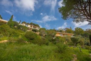 a house on a hill with grass and trees at Le Mas Berliat N°7 in Bormes-les-Mimosas