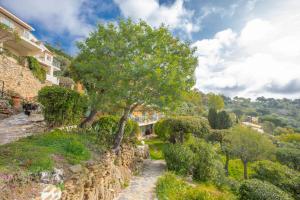 a tree on a hill next to a stone wall at Le Mas Berliat N°7 in Bormes-les-Mimosas