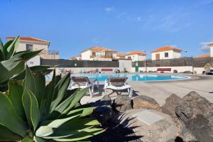 a swimming pool with two chairs and a plant at Villa Charlotte in La Oliva