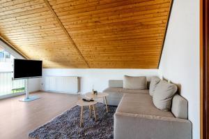 a living room with a couch and a tv at Fewo Georg in Pfullendorf