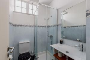 a bathroom with a shower and a toilet and a sink at Alojamento Local Coruche Erra in Coruche +25 photos