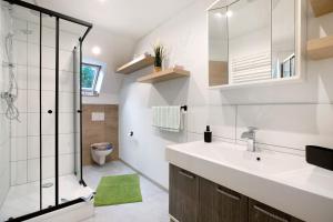 a bathroom with a shower and a sink and a toilet at Felsenburg in Ahrenviölfeld +60 photos