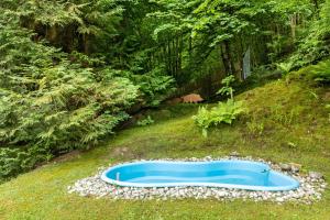 a blue pool in the grass in a garden at Tannenhäuschen Sauerland in Schmallenberg