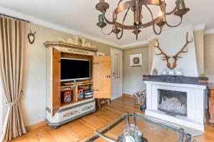 a living room with a tv and a fireplace at Tannenhäuschen Sauerland in Schmallenberg