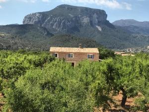 a house in a field with mountains in the background at Son Pelai Menut in Lloseta