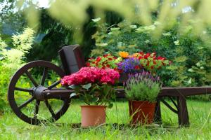 a garden with flowers on a wooden cart at Ferienwohnung Jachmann, 80qm in Schönwald