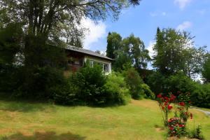 a house on a hill with flowers in the yard at Ferienwohnung Jachmann, 80qm in Schönwald
