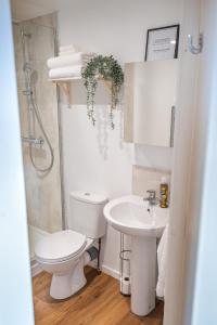 a bathroom with a toilet and a sink at An Bothan in Isleornsay