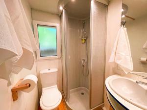 a bathroom with a shower and a toilet and a sink at Le sorgenti - Mobile Home 46 in Palazzuolo sul Senio