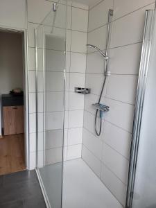 a shower with a glass door in a bathroom at Ferienwohnung im Ries in Wallerstein +16 photos