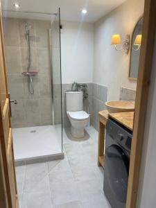 a bathroom with a shower and a toilet and a sink at Le Chai d'Auguste in Pauilhac +28 photos