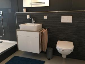 a bathroom with a white sink and a toilet at Hannes und Stefanie Fleischer in Wangen