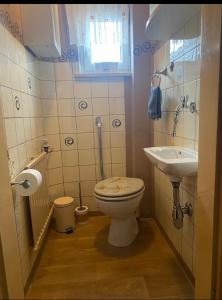 a bathroom with a toilet and a sink at Apartment Wohner in Petersaurach +9 photos