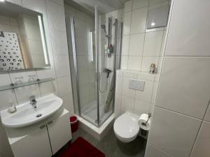a bathroom with a shower and a toilet and a sink at Ferienwohnung Inzell mit Bergblick in Inzell +9 photos