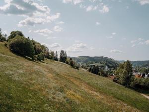 a grassy hill with a view of a town at Ferienwohnung Wälderliebe in Lenzkirch