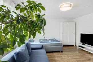 a living room with a blue couch and a potted plant at Ferienwohnung Pepe in Donaueschingen
