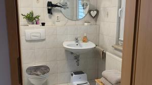 a bathroom with a sink and a toilet and a mirror at Ferienhaus mit Sauna am Waldrand in Friedrichroda +24 photos