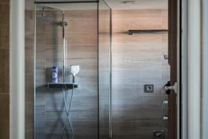 a shower with a glass door in a bathroom at Ferienwohnung Insel Reichenau in Rheinstraße +16 photos