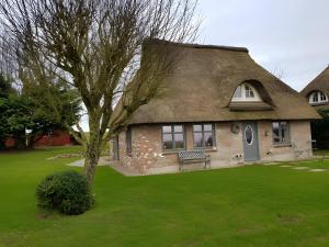 a house with a tree and a bench in the yard at Schäferhaus in Hemme