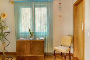 a living room with a chair and a window at Apartamento Jade in Caniço