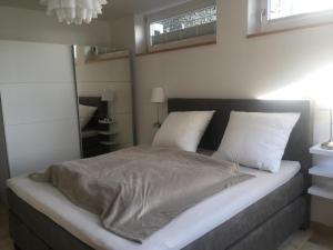 a bedroom with a large bed with a mirror at Atelierwohnung Bei München in Pfaffenhofen an der Ilm
