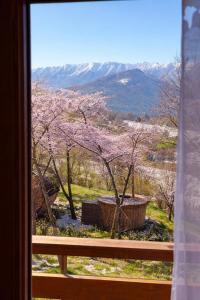 a window with a view of a tree with pink flowers at Ammon Mountain Villas in Bran