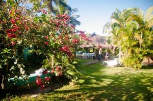 A garden outside Pousada Canto da Galheta