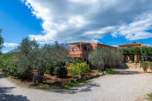a house with trees in front of it at Ses Oliveres en Port Verd in Son Servera