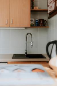 a kitchen counter with a sink and a sink at Jean Pierre Skilodge in La Toussuire +30 photos