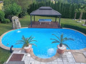 a swimming pool with two palm trees and a gazebo at Wohlfühloase Ermreuth in Neunkirchen am Brand