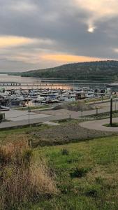 a bunch of boats are parked in a harbor at Hausboot Geiselruh in Braunsbedra +10 photos