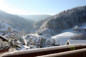 a view of a snow covered village with houses at Haus Margot Armbruster in Bad Rippoldsau-Schapbach