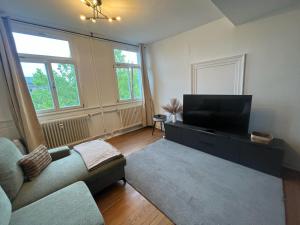 a living room with a couch and a flat screen tv at Charmante Altbauwohnung in Erlangen
