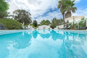 a swimming pool with blue water and palm trees at Canto do Sol - Selão da Eira in Pedreneiras