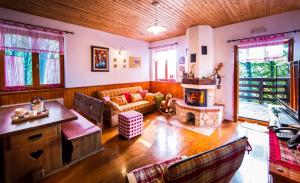 uma sala de estar com um sofá e uma lareira em Vila Platak em Rijeka