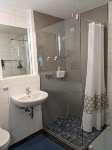 a bathroom with a shower with a sink and a toilet at im Oberdorf in Achern
