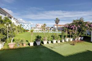 a row of potted plants in a yard at Yasmim House in Sagres