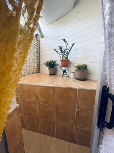 a small balcony with potted plants on it at Apartamento Danoe 2 in Mogán